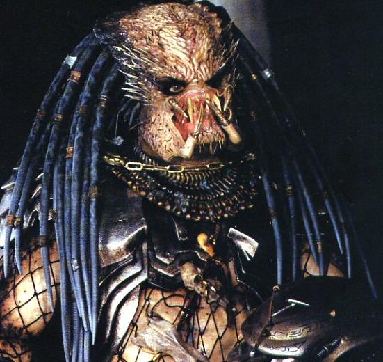 elder avp01.JPG