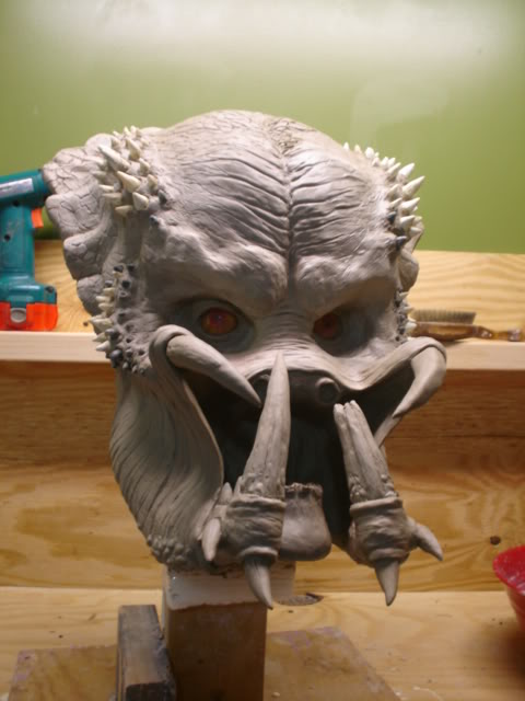 elder5002.jpg