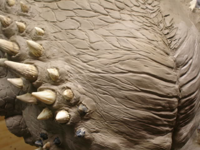 elder5003.jpg