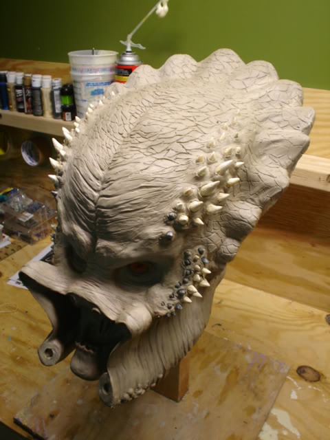 elder6001.jpg