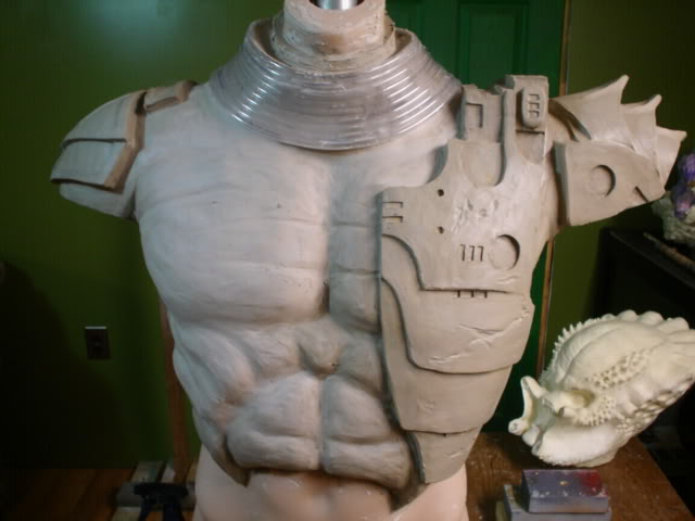 eldertorso3003.jpg