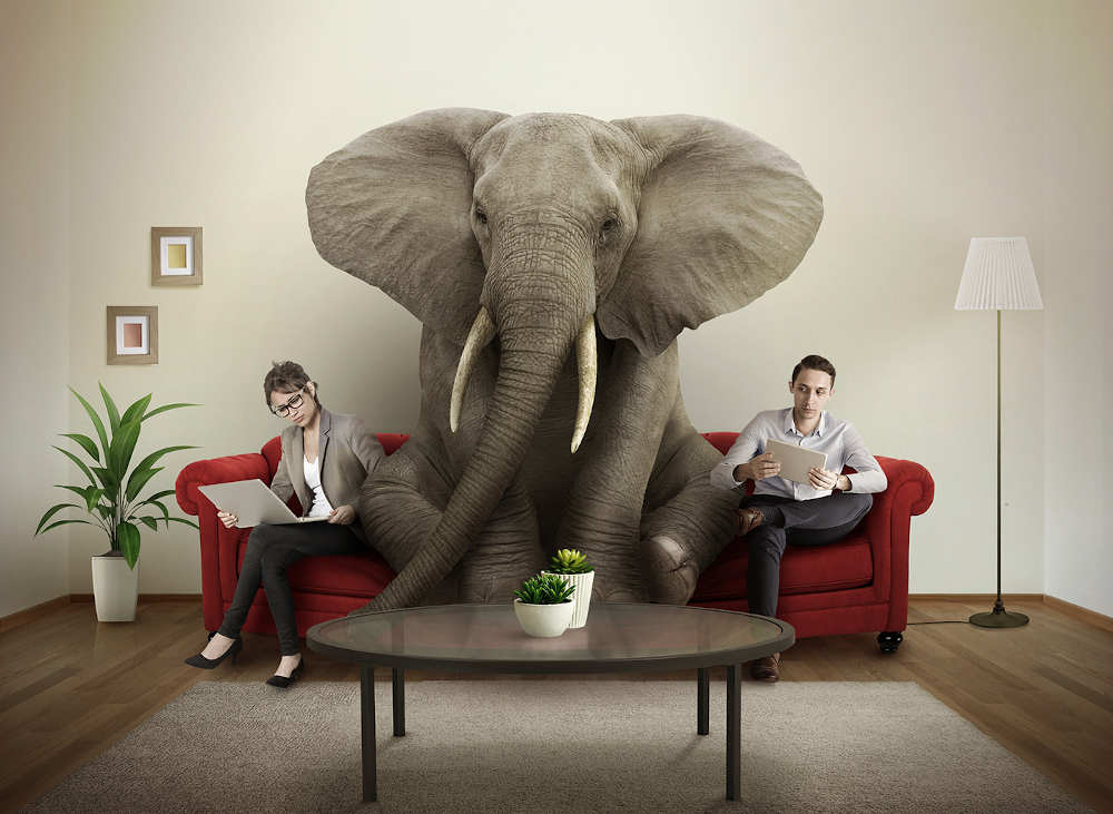elephant in room.jpg