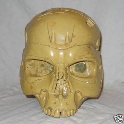 Endo Skull - T1 Reject - 001.jpg