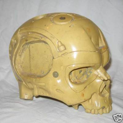 Endo Skull - T1 Reject - 004.jpg