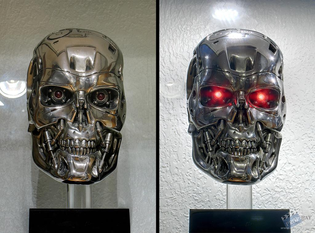 Endo Skull - T2-3D Style - SWS Gift Skull - Basset - 005.jpg