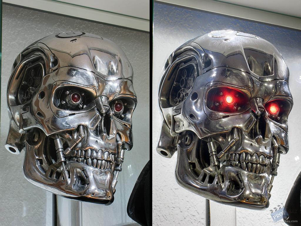 Endo Skull - T2-3D Style - SWS Gift Skull - Basset - 006 - 0.jpg