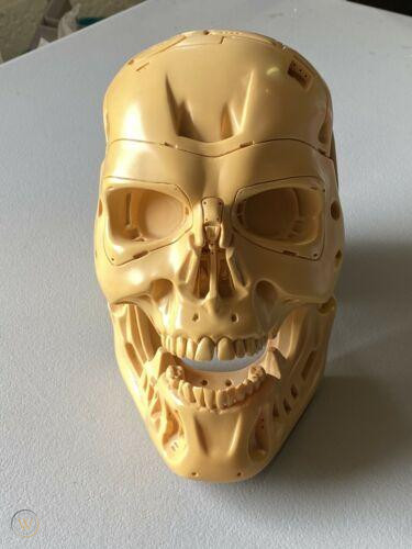 Endo Skull - T2-3D Style - SWS Gift Skull Unfinished - 001 - eBay.png
