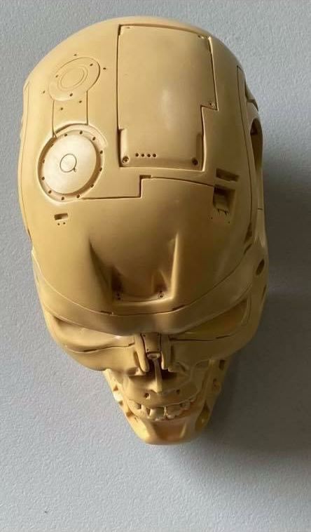 Endo Skull - T2-3D Style - SWS Gift Skull Unfinished - 002 - Posted by Gizmo.png