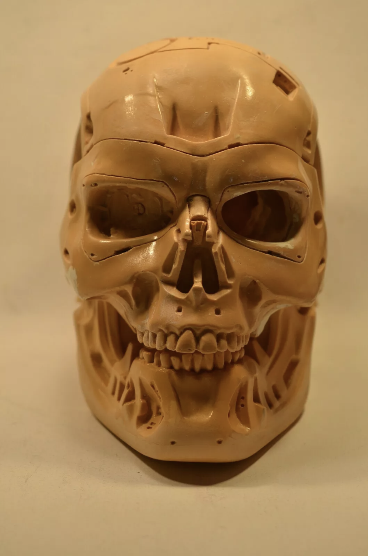 Endo Skull - Unknown - 01 - 001 - Posted by Gizmo.png
