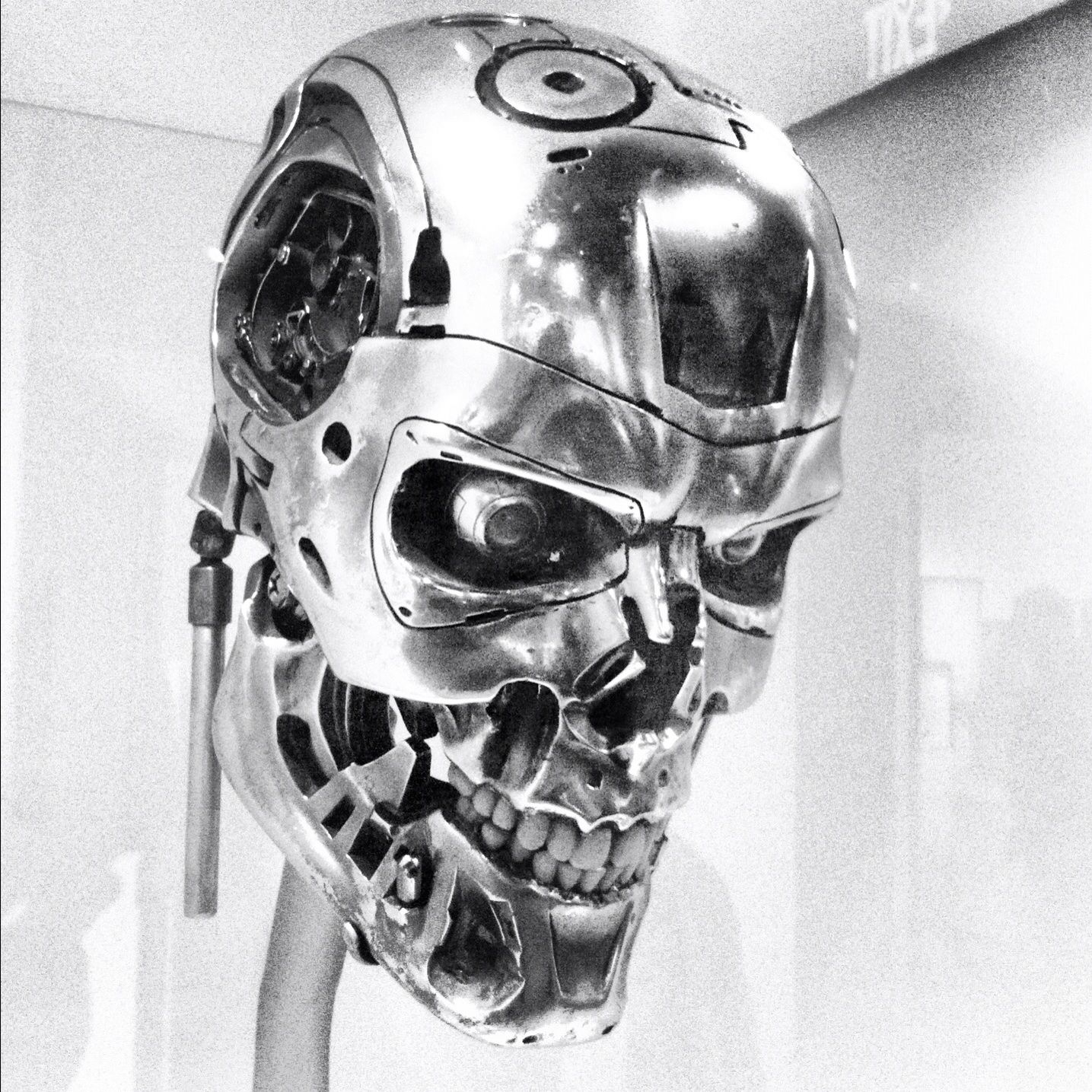 Endoskeleton - IconsofSciFi - EMPmuseum - T1-T2 - Skull - 018.jpg