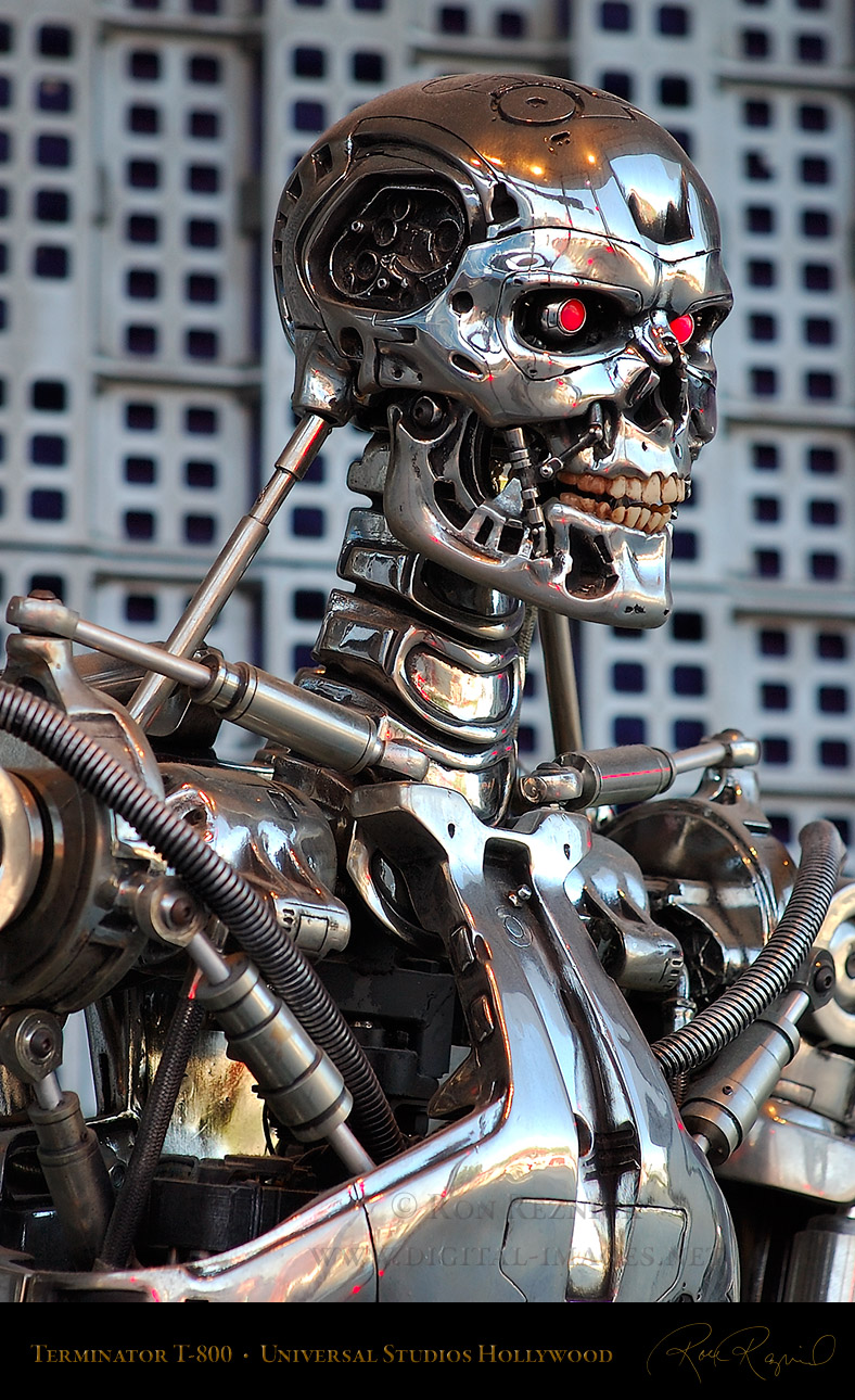 Endoskeleton - Terminator 2 3D - Universal Studios - Hollywood - Attraction Store Window - 015.jpg