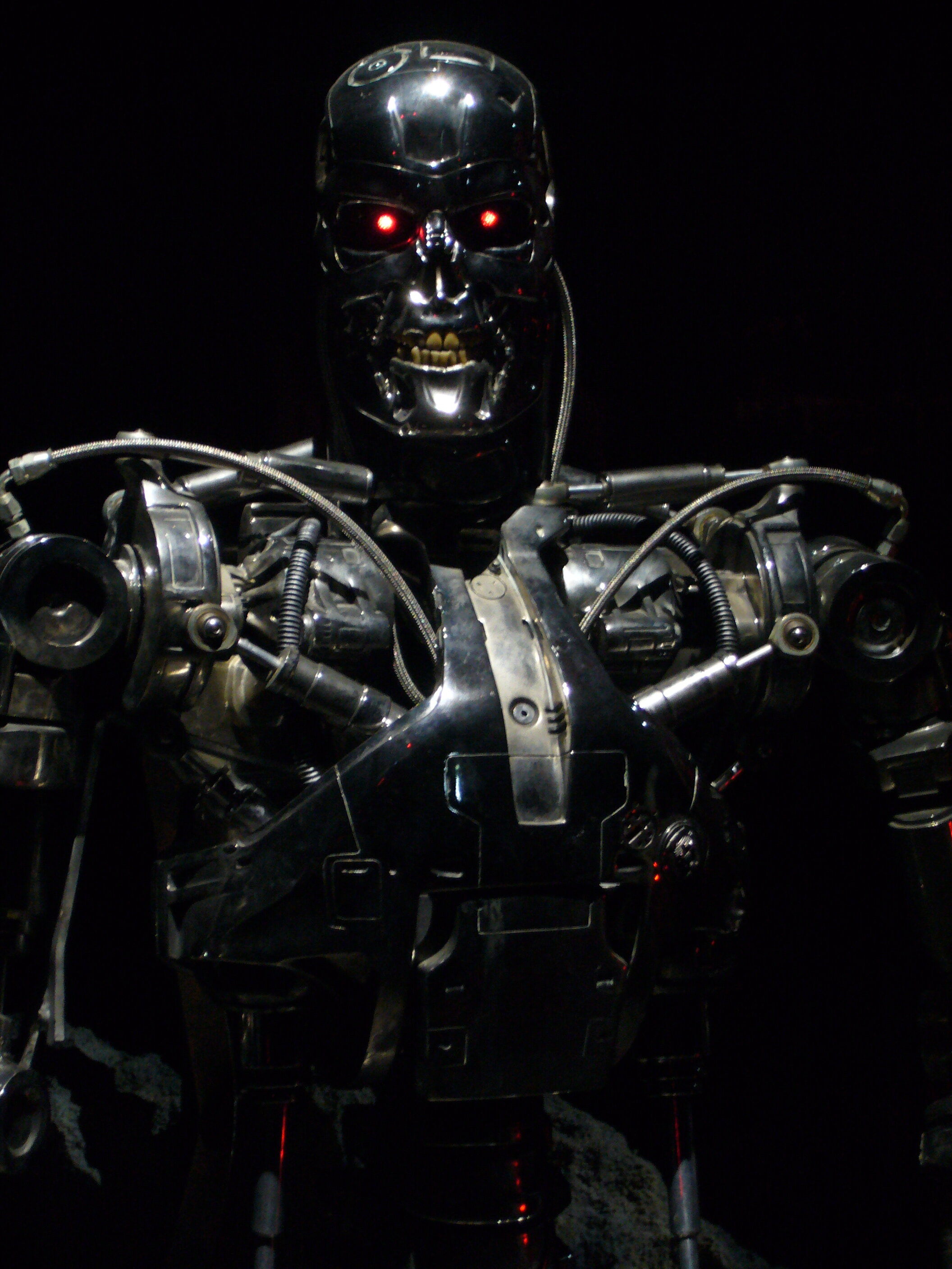 Endoskeleton - Tokyo Japan Museum Robot Science - 01 - 005.jpg