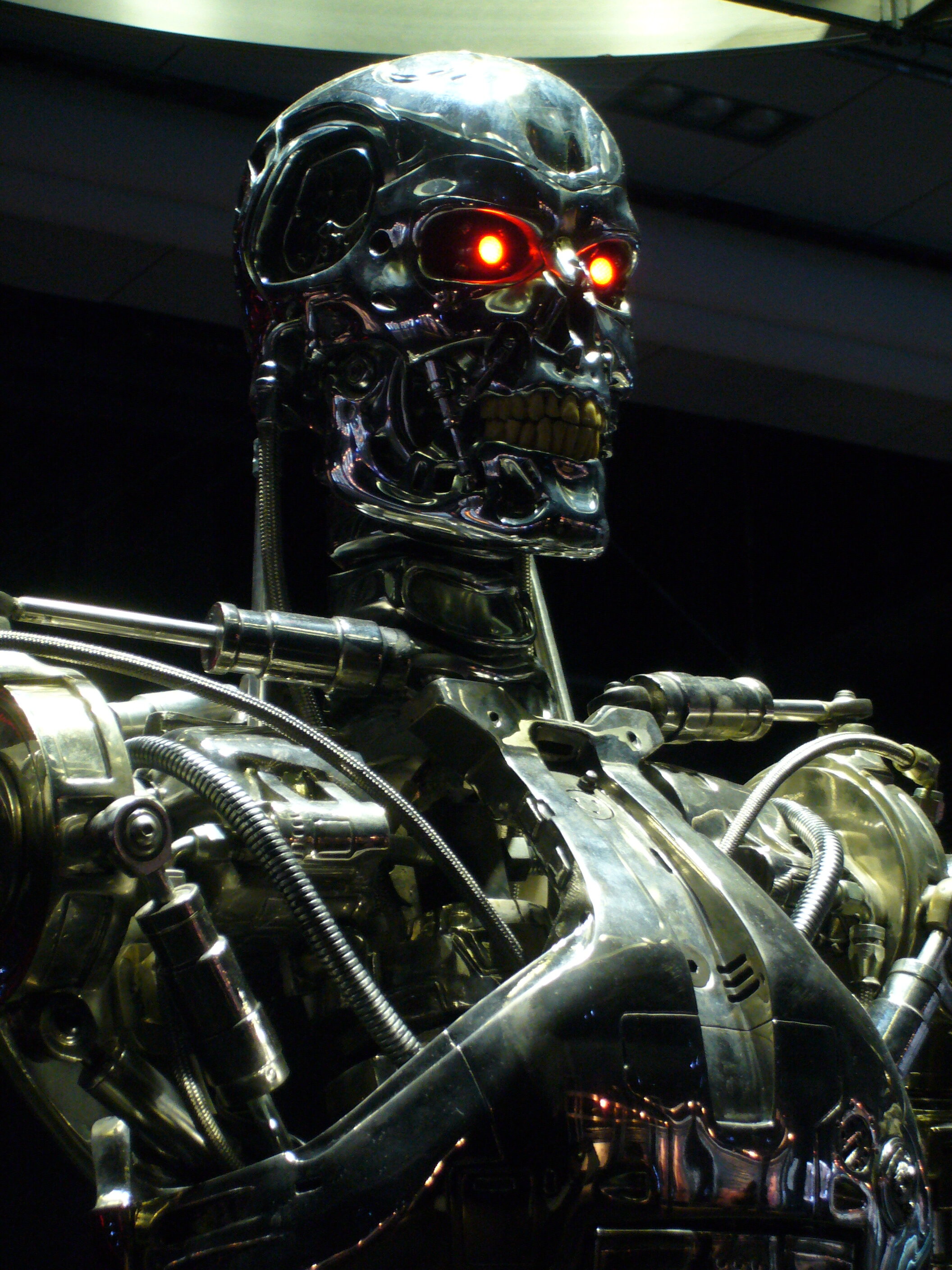 Endoskeleton - Tokyo Japan Museum Robot Science - 02 - 002.jpg