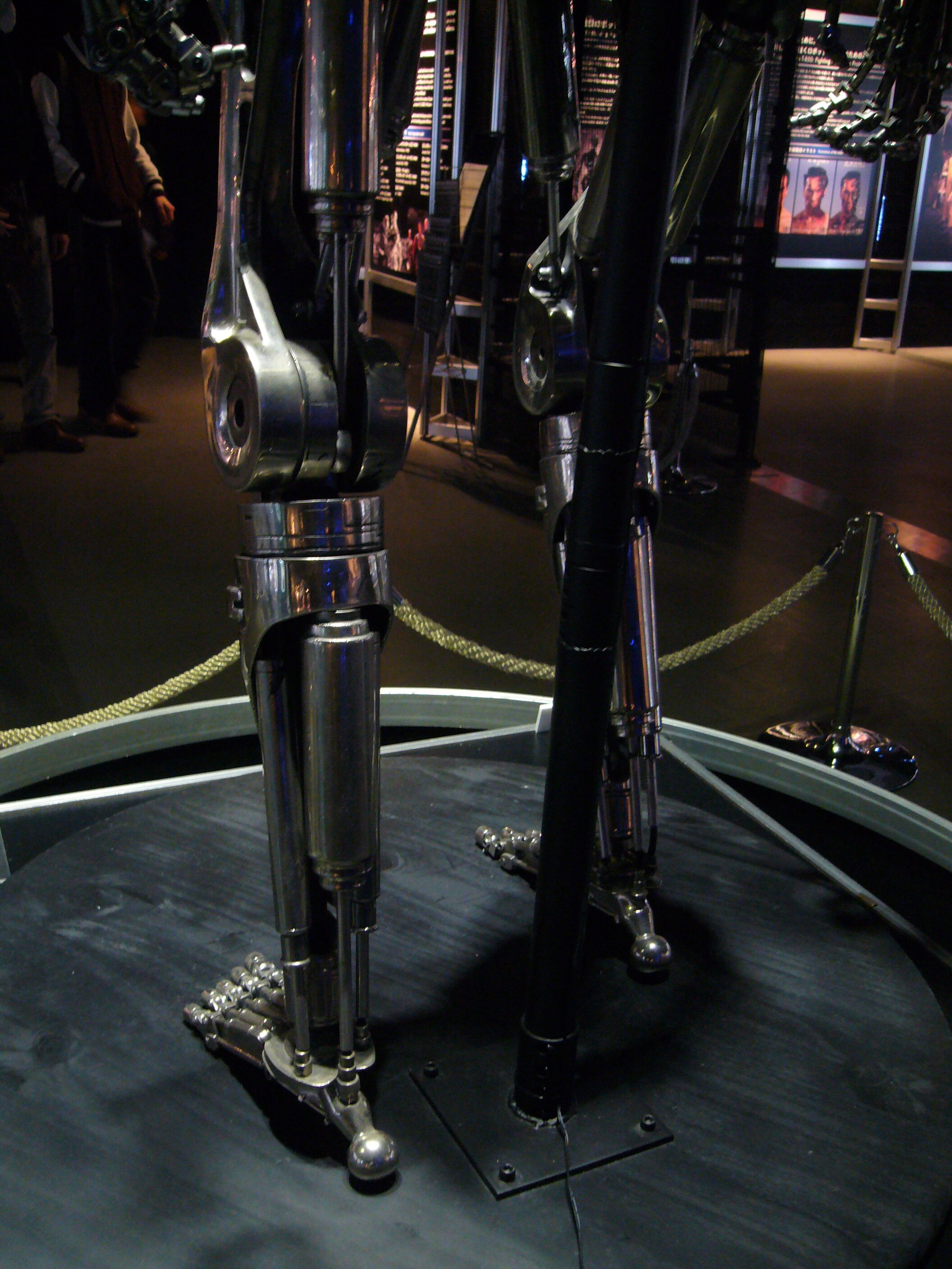 Endoskeleton - Tokyo Japan Museum Robot Science - 02 - 007.jpg