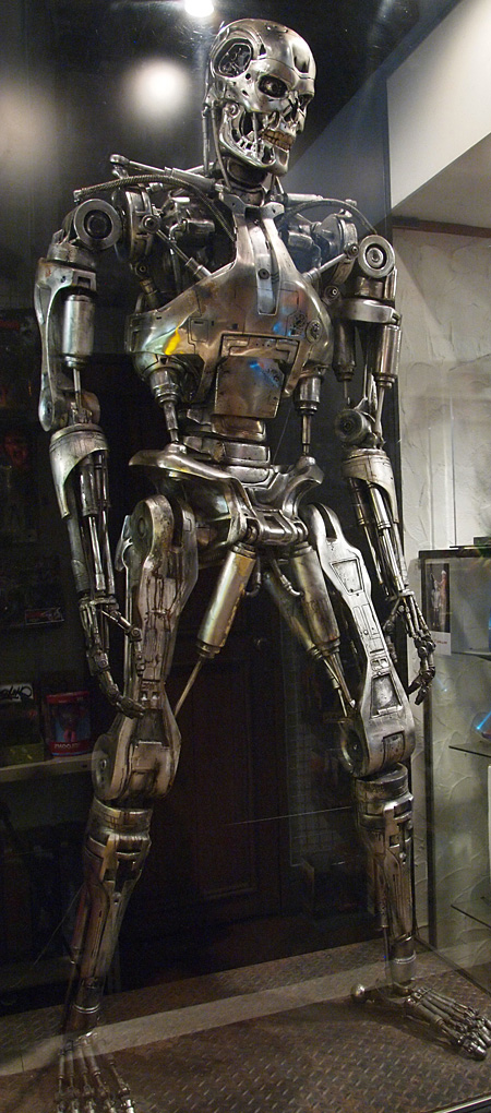 Endoskeleton - Tomenosuke Shoten shop - Japan - 007.jpg