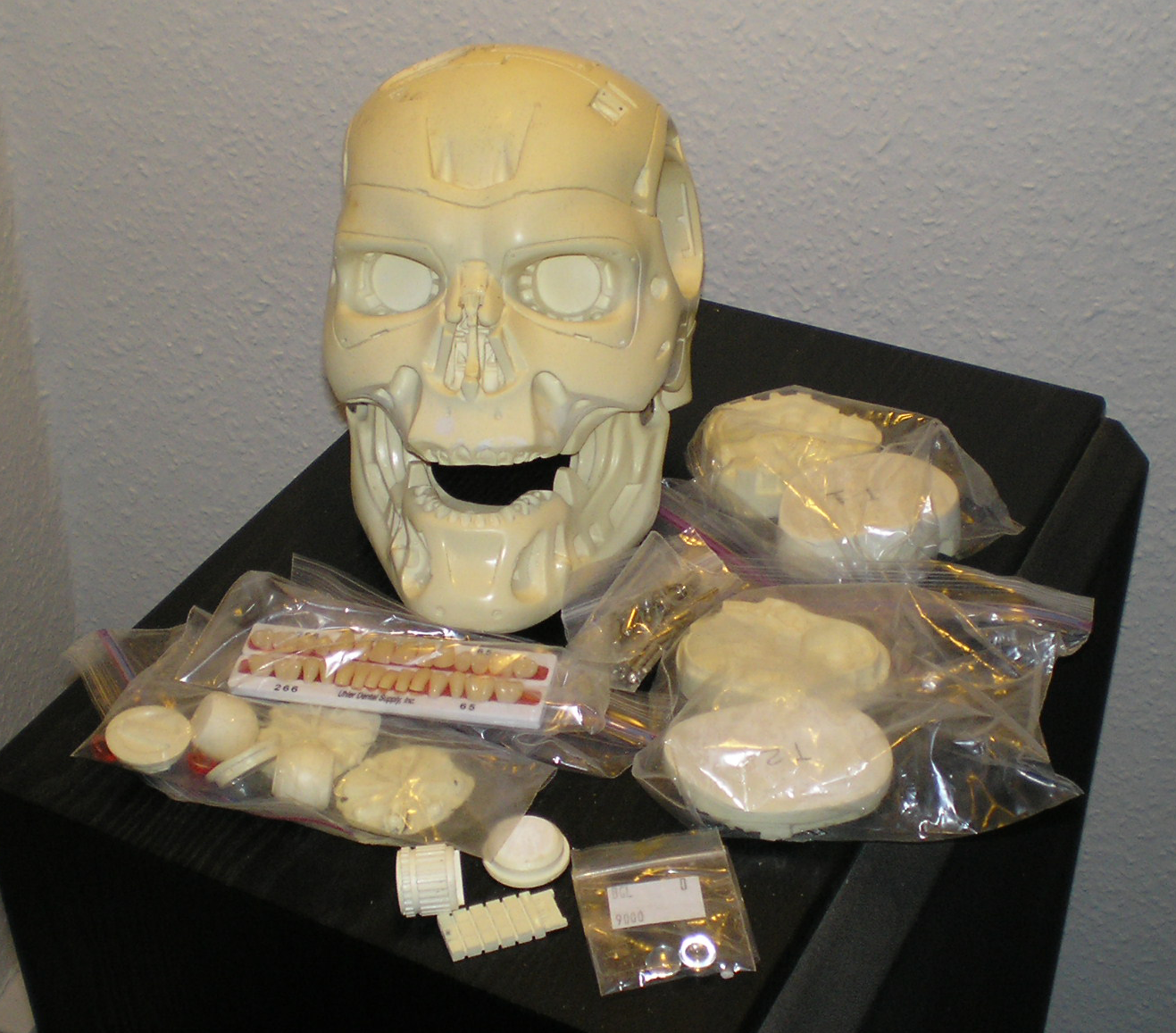 Endoskull - Beagle Bill - 006-1.png