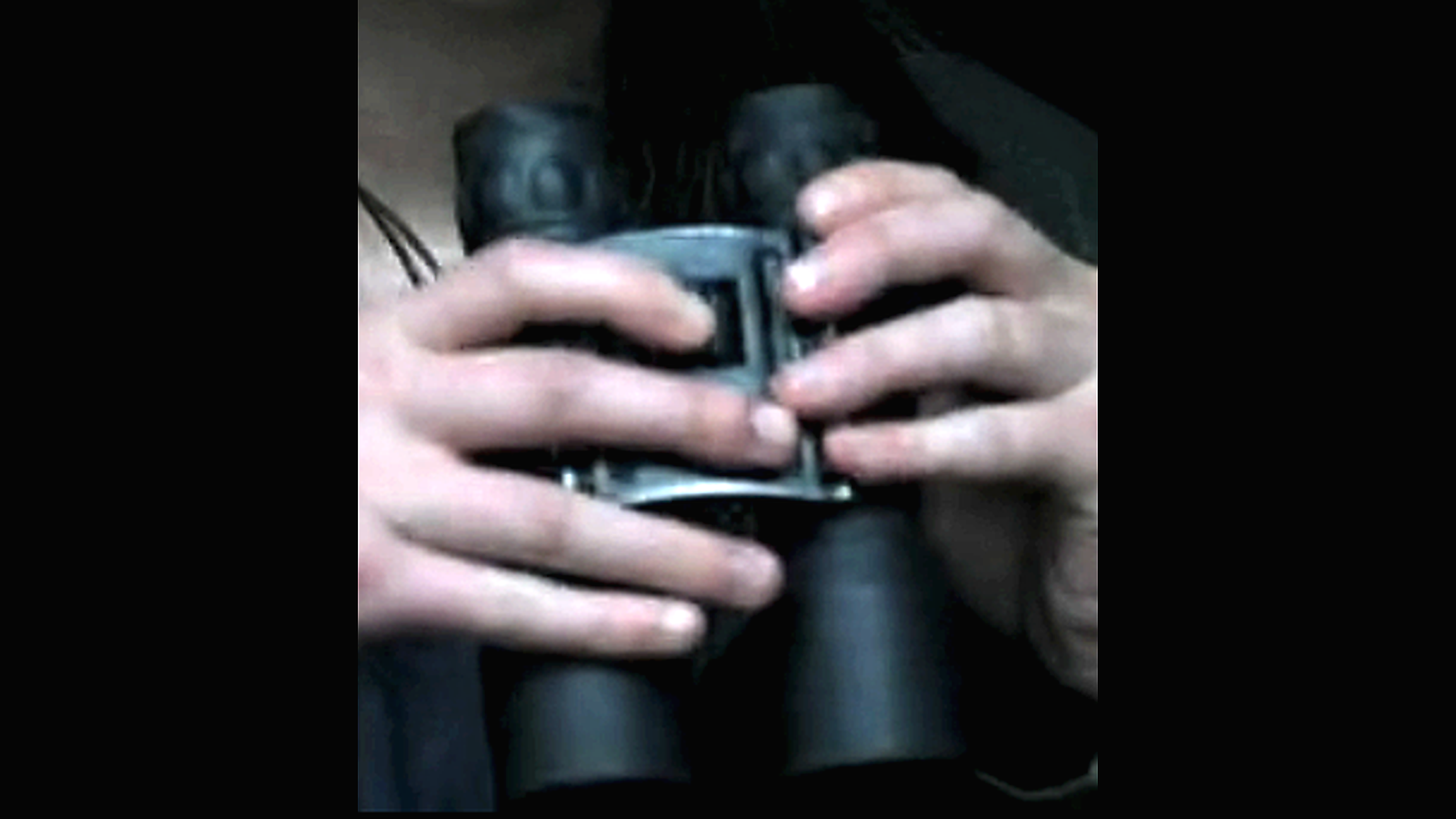 enhanced_binoculars_image_4k.png