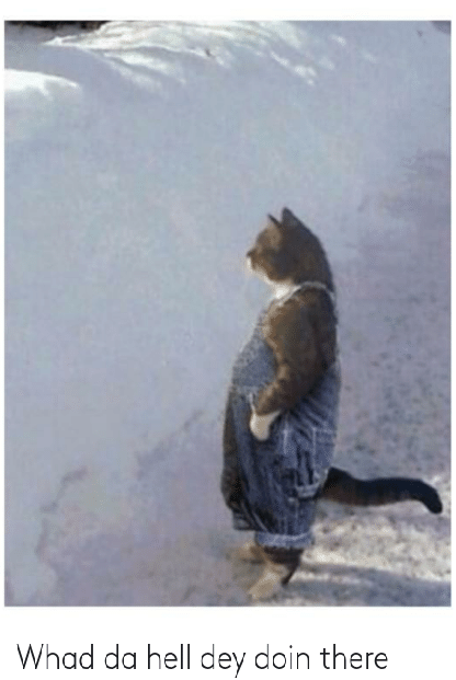 everyone-reddit-cooins-reddit-cooins-me-whad-da-hell-dey-66950207.png