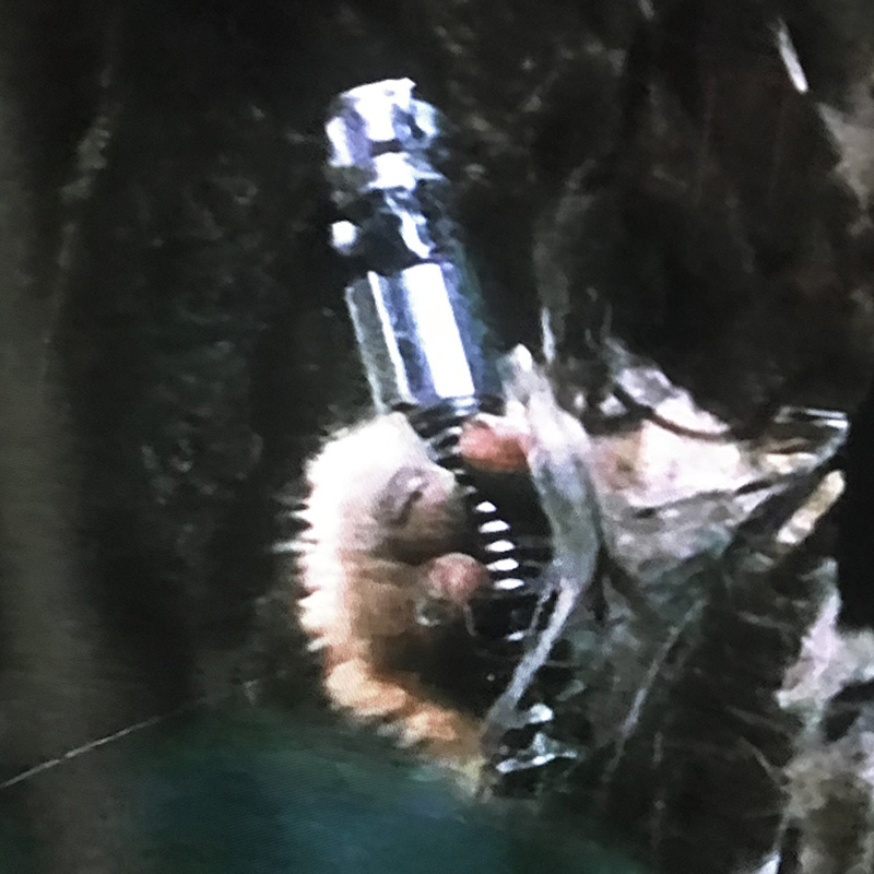 EWOCK.jpg