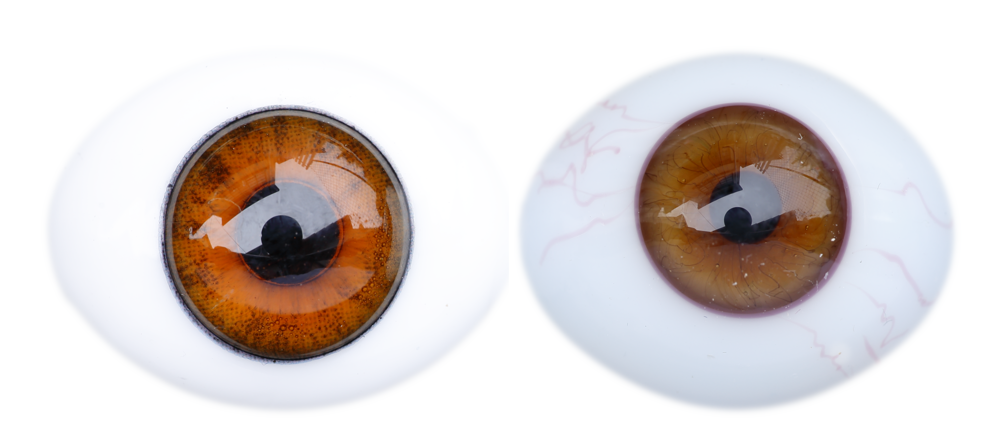 eyesf.png