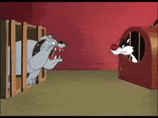 ezgif-7-6fb8dc5bd7.gif
