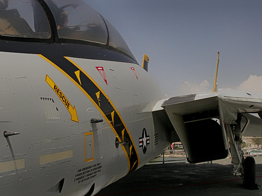 F-14 skin.jpg