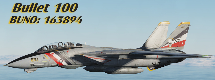 F-14D Bounty Hunters.jpg