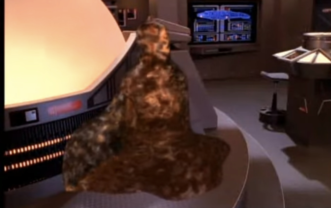 F133F81C-C01F-4FD0-A59E-D5F35B1622BD.jpeg