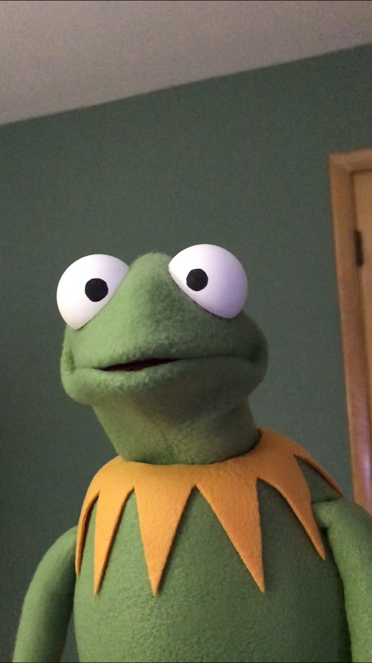 vintage kermit the frog hand puppet