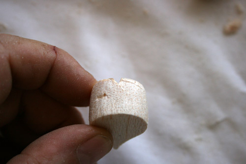 f57.jpg