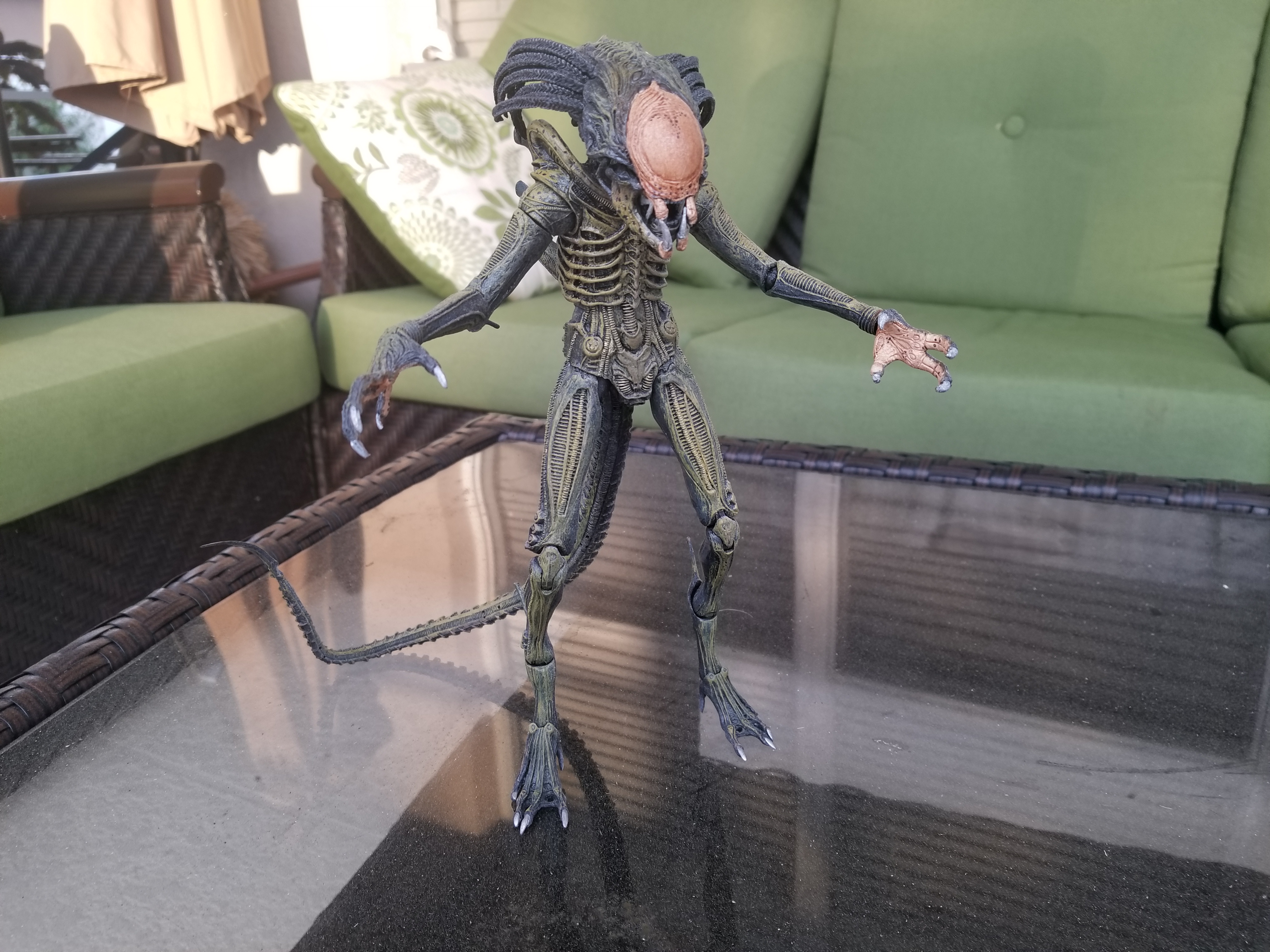 neca predalien 2019