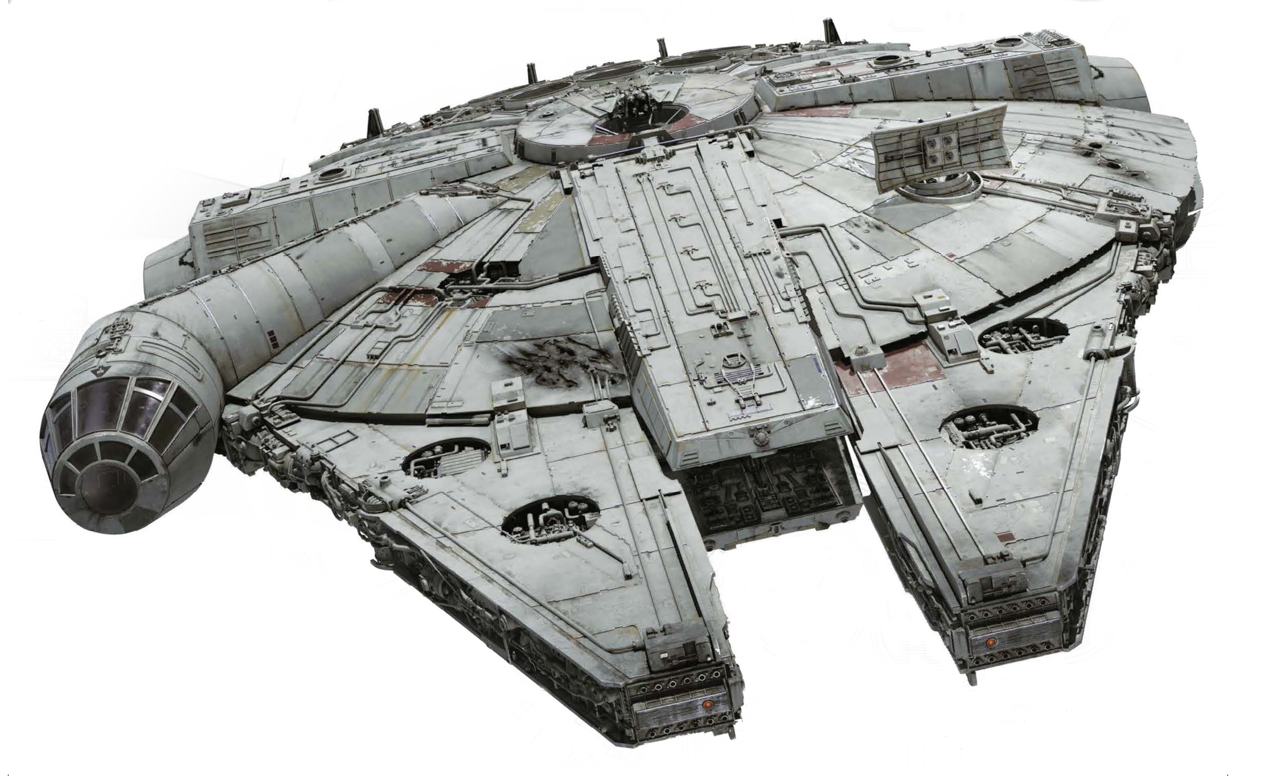 Falcon Front on.jpg