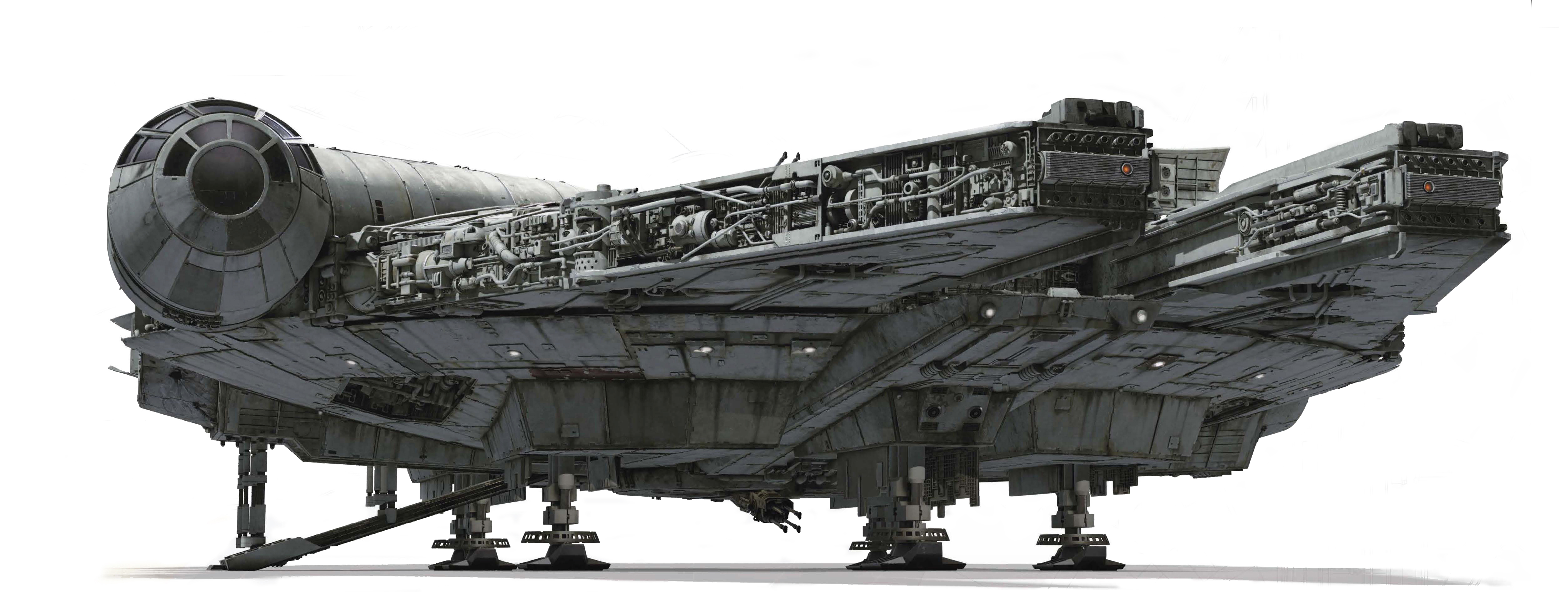 Falcon lowshot.jpg