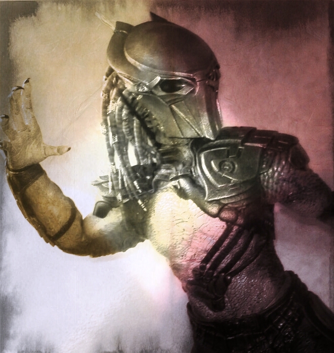 falconer picsay.jpg