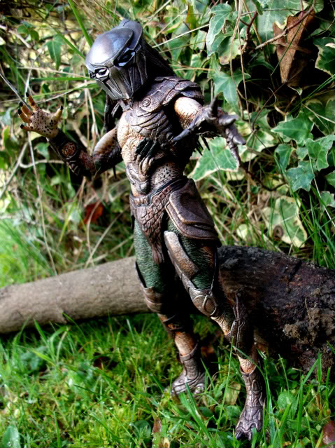 falconer002a.jpg