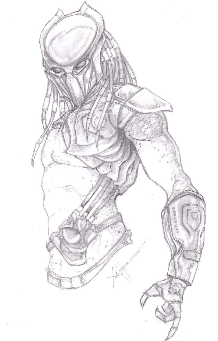 falconer_predator_by_covens_oz-d3elzdv.jpg