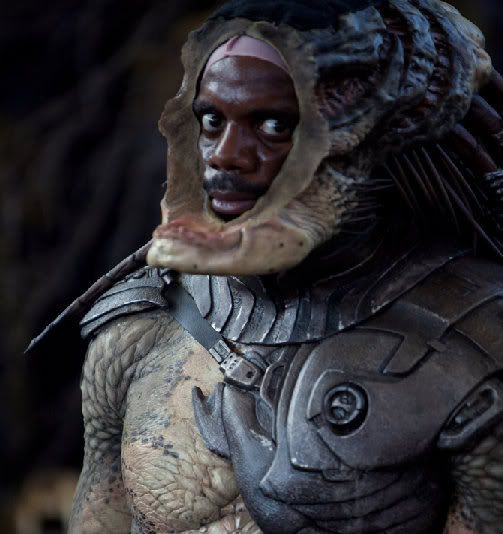 FalconerKNB.jpg