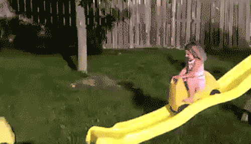 fall.gif