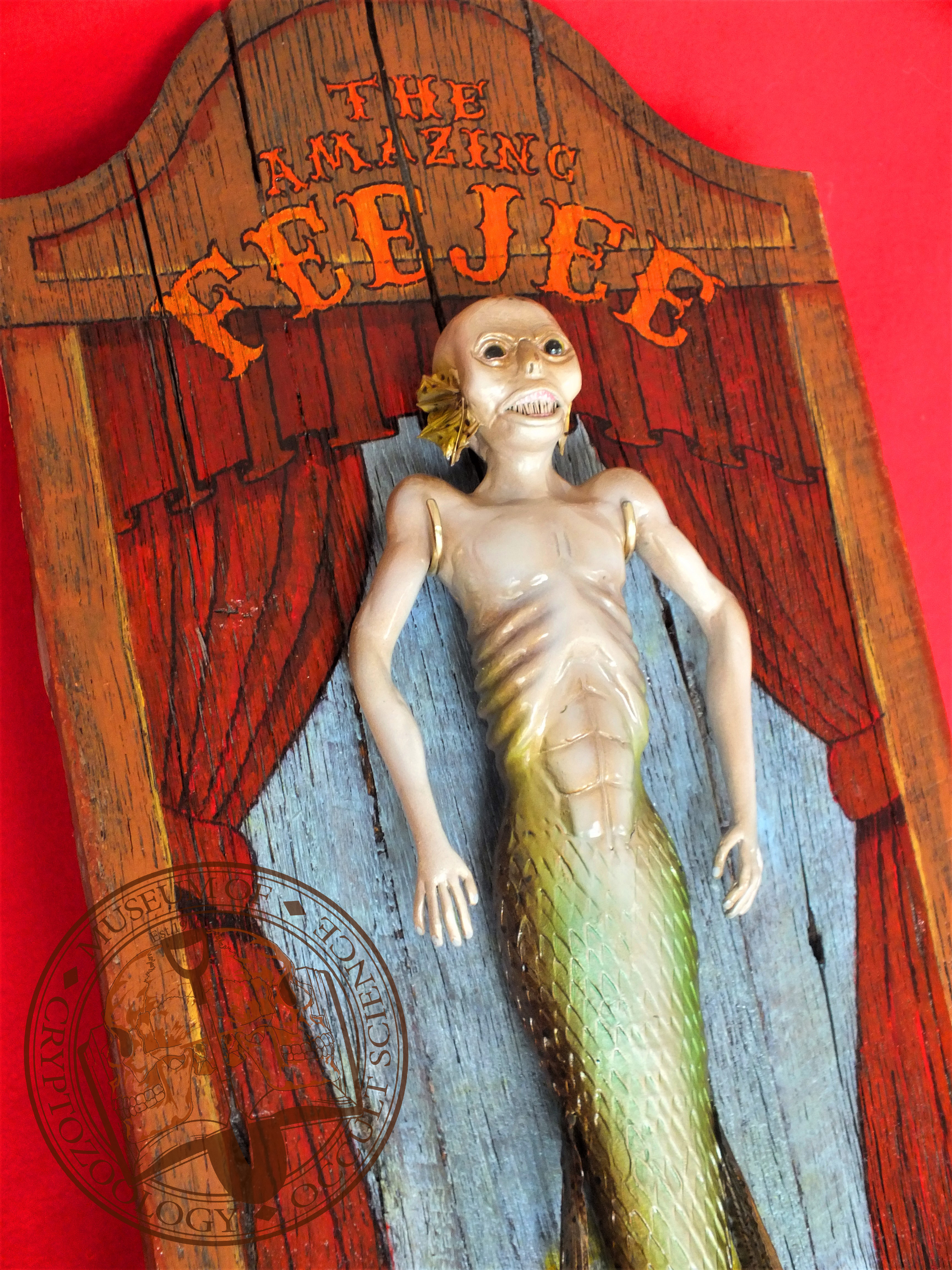 Feegee mounted closeup.jpg