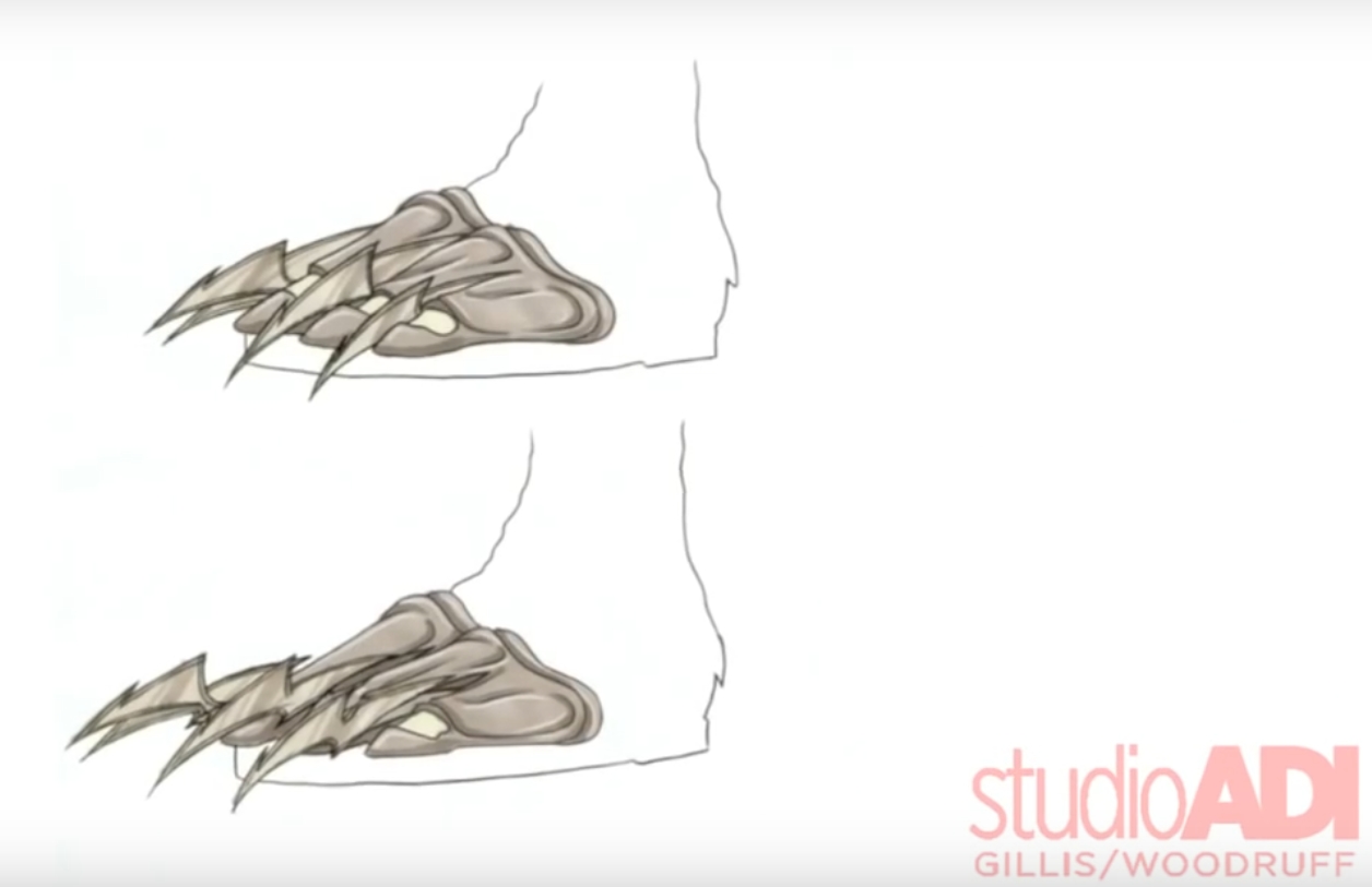feet 2.jpg