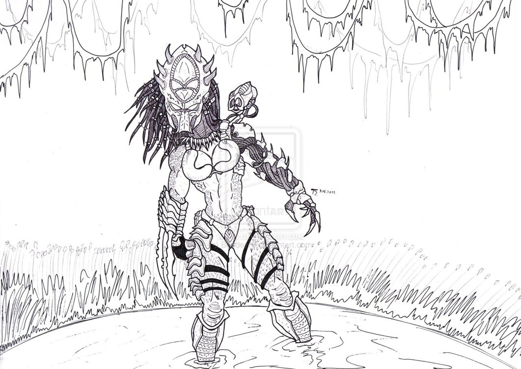 female_predator_2012_by_bender18-d52d3mx.jpg