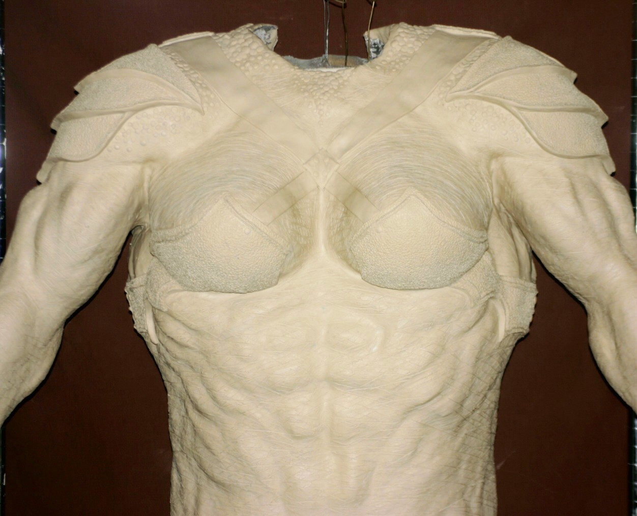 Female_torso1_50.jpg