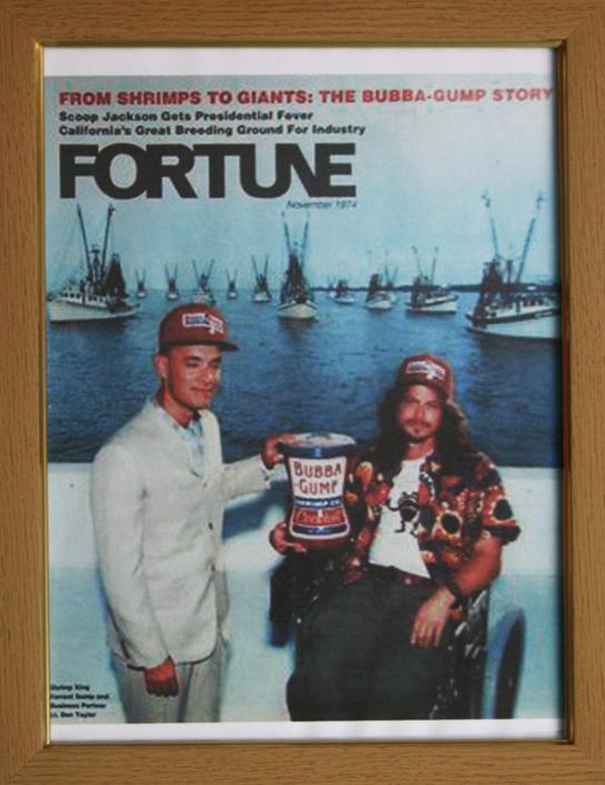 fgmag2-544x706.jpg