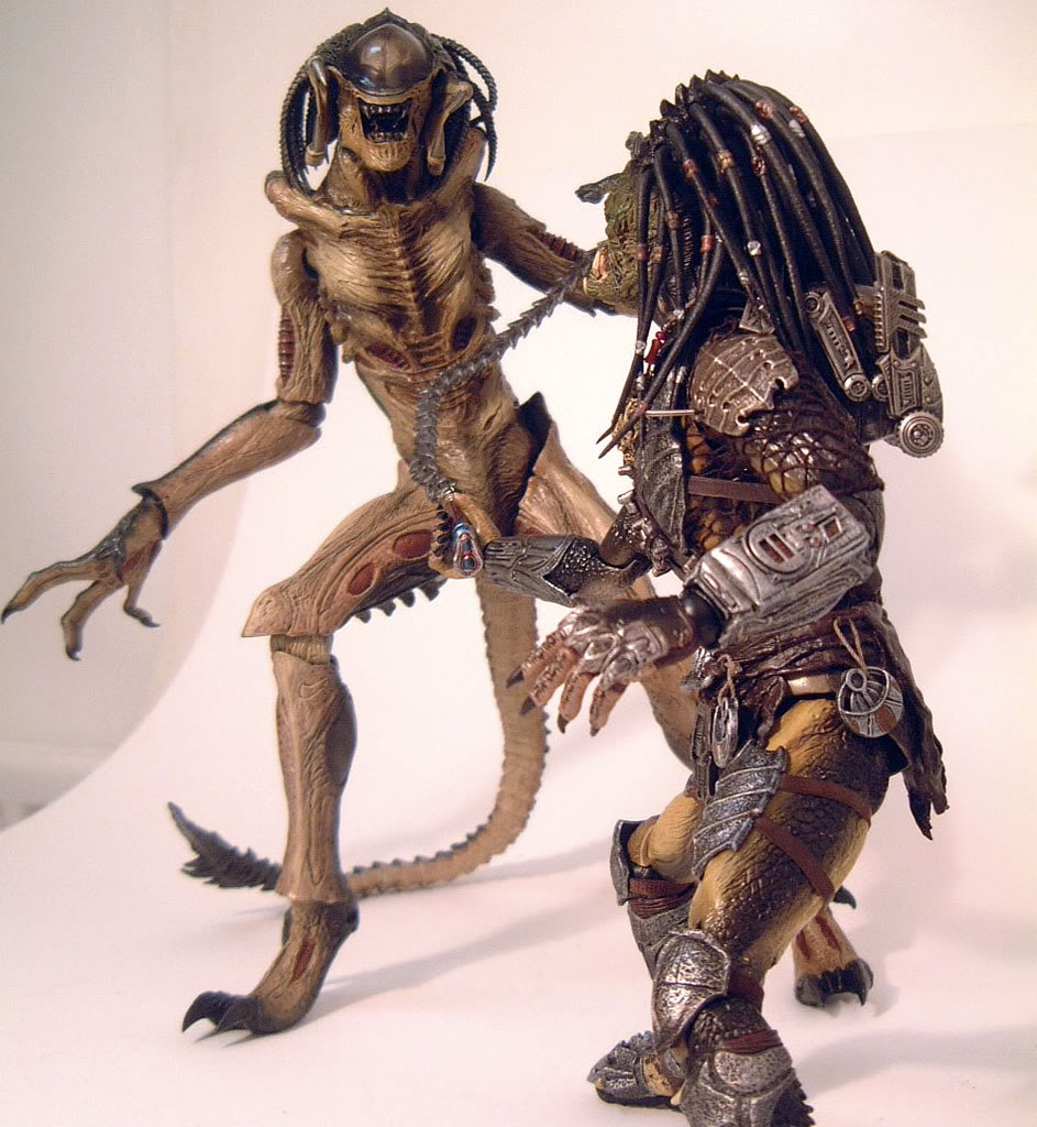 fight1-1.jpg