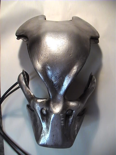 fin042.jpg