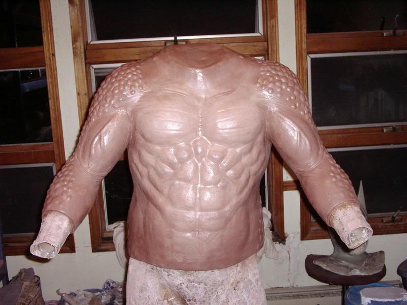 Finishedtorso1.jpg