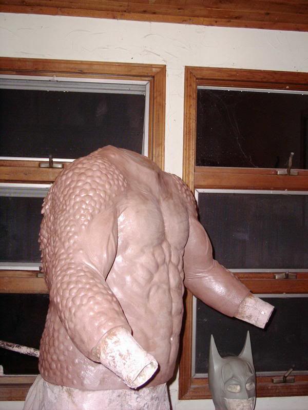 Finishedtorso3.jpg