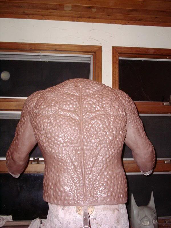 Finishedtorso5.jpg