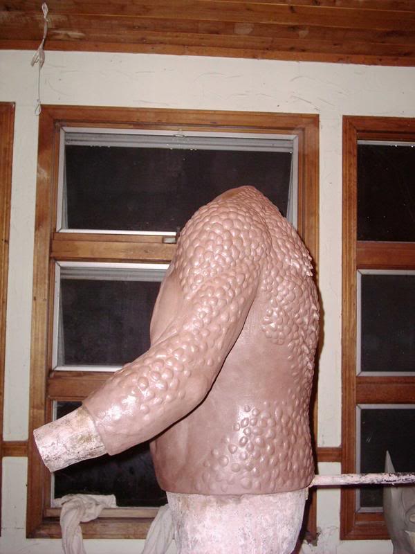Finishedtorso7.jpg