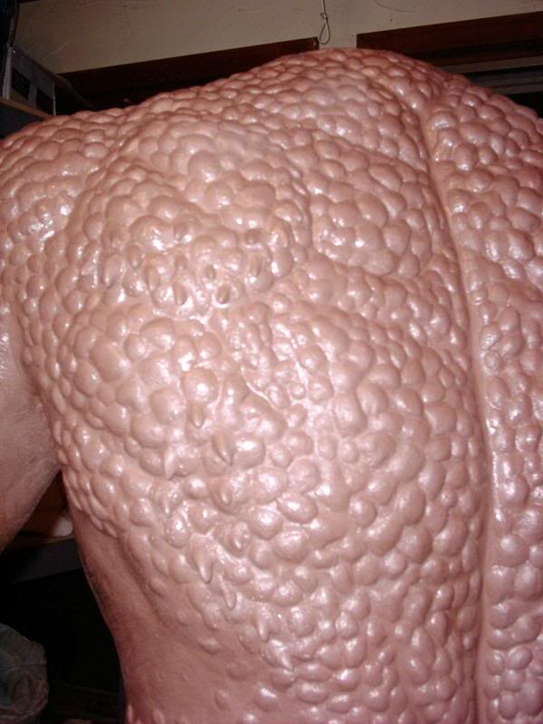 Finishedtorso8.jpg